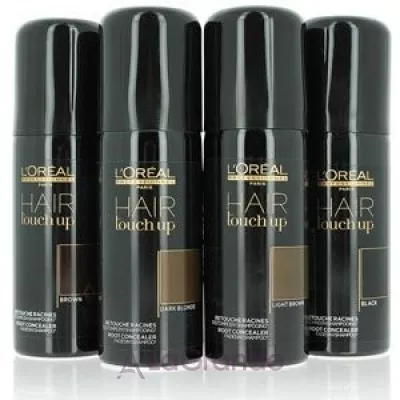 L'Oreal Professionnel Hair Touch Up   