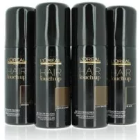 L'Oreal Professionnel Hair Touch Up �������� ��� �����
