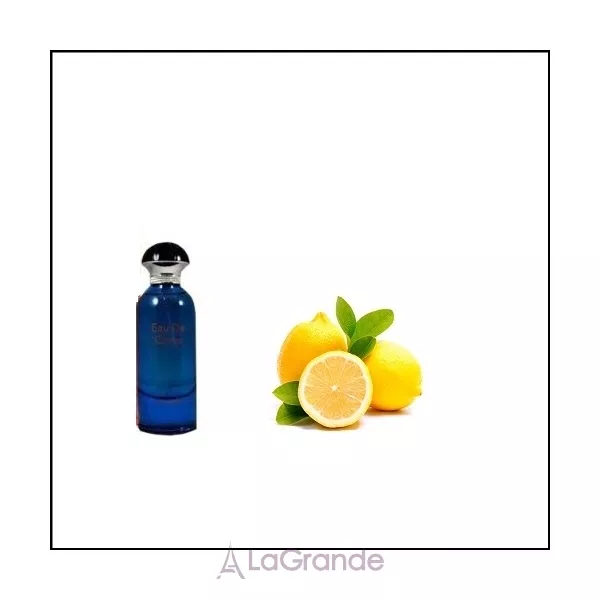 Fragrance World Eau De Citrus ��������������� ����