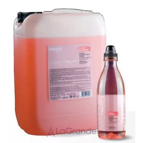 Dikson Treat Repairing Shampoo ������� ��� ����������� �������