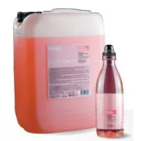 Dikson Treat Repairing Shampoo ������� ��� ����������� �������