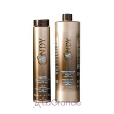 Dikson Andy Riparatore Shampoo ³       