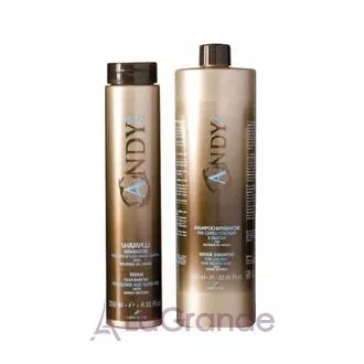Dikson Andy Riparatore Shampoo ����������������� ������� ��� �������� � ������������ ��������� �����