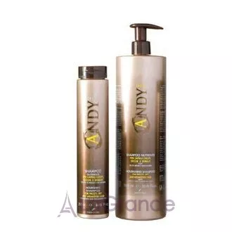 Dikson Andy Nutriente Shampoo �������� ������� � �볺� ������ �� ������쳿