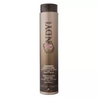 Dikson Andy Seboregolatore Shampoo ���������������� ������� ��� ������ ���� ������