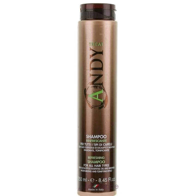 Dikson Andy Rinfrescante Shampoo ������� ��������� ��� ��� ���� �������