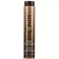 Dikson Andy Rinfrescante Shampoo ������� ���������� ��� ���� ����� �����