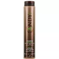 Dikson Andy Daily Use Shampoo ������� ���������� ��� ���� ����� �����