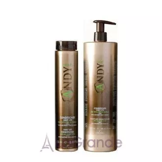 Dikson Andy Daily Use Conditioner ����������� ���������� ��� ���� ����� �����