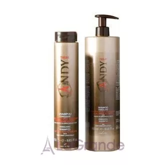 Dikson Andy Stimolante Shampoo ������� �������������, ���������� ������������� ��������� �����