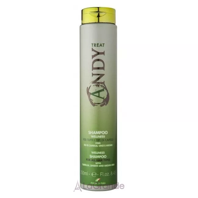 Dikson Andy Shampoo Wellness ������� ��� ��� ���� �������