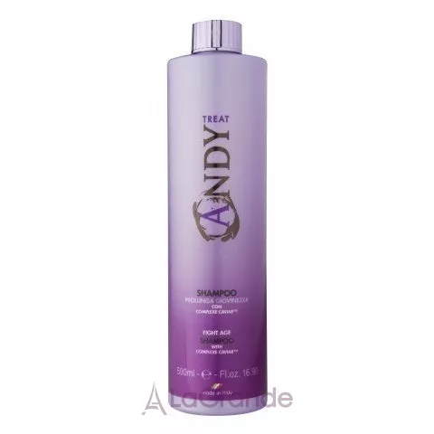 Dikson Andy Fight Age Shampoo ������� 