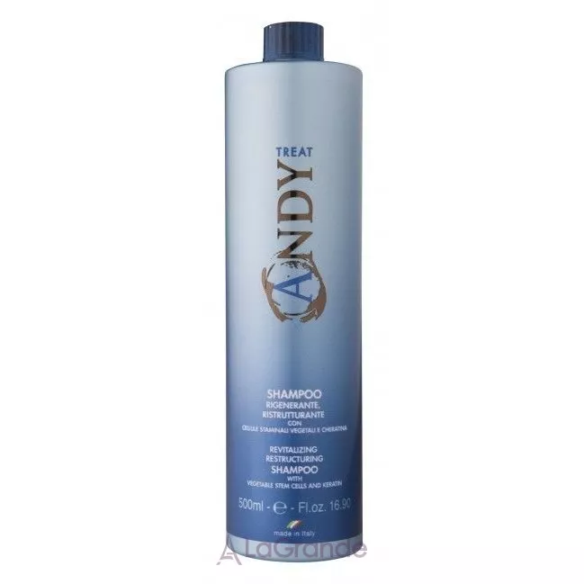 Dikson Andy Regenerating Shampoo ������������ �������