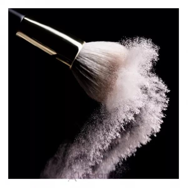 Pierre Rene HD Microfinish Loose Powder ����������� �����