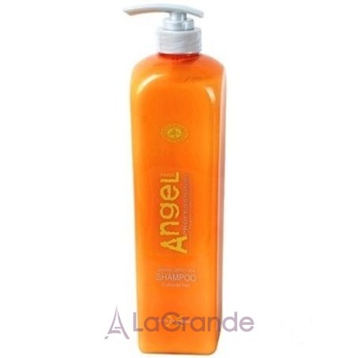 ANGEL Professional Paris Shampoo for dry and Normal Hair      