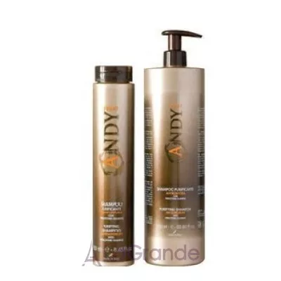 Dikson Andy Purificante Shampoo    