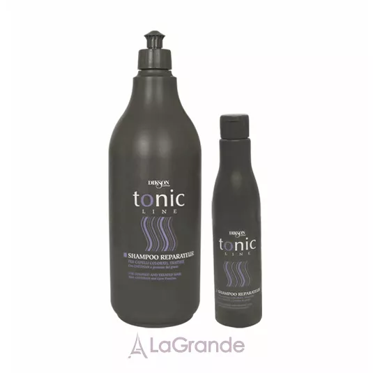 Dikson Tonic Line Bain Vitalite Shampoo ������� ��� ��������� ����� ����������� �������
