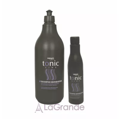 Dikson Tonic Line Bain Vitalite Shampoo      