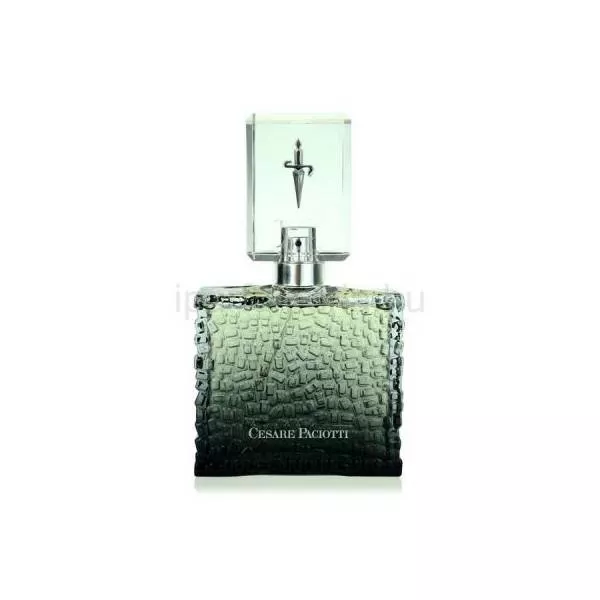 Cesare Paciotti For Him ��������� ���� (������)
