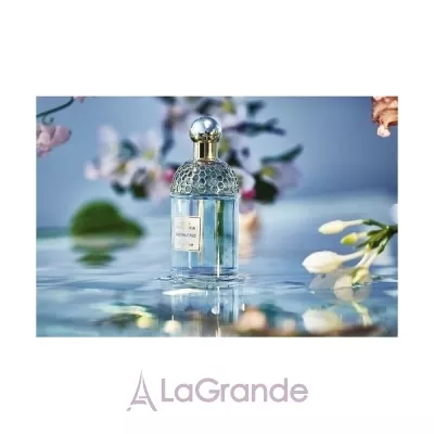 Guerlain Aqua Allegoria Coconut Fizz  