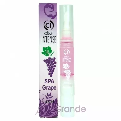 Colour Intense Spa Grape Pencil 227 -   