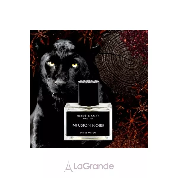 Herve Gambs Paris Infusion Noire ����������� ����