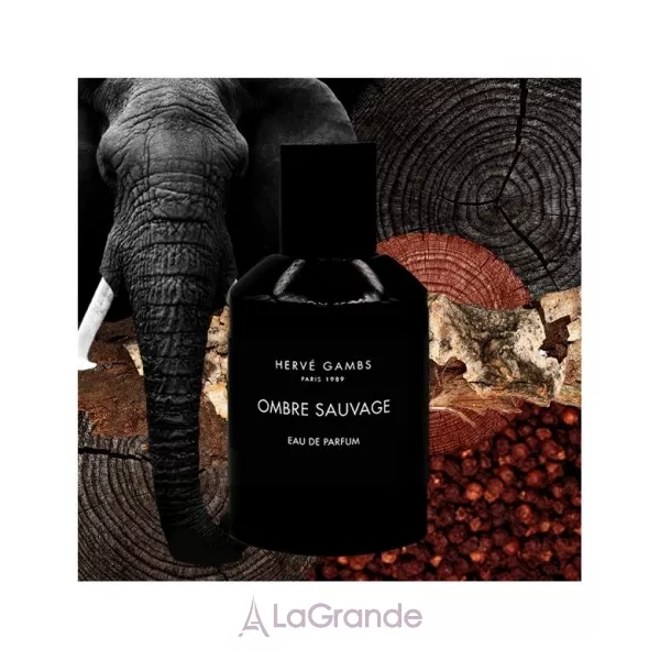 Herve Gambs Paris Ombre Sauvage ����������� ����