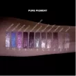 Pierre Rene Pure Pigment -