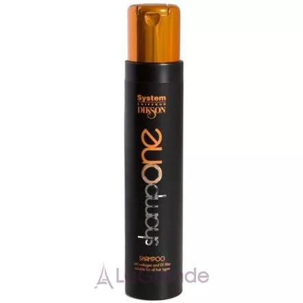 Dikson 1ONE Shampoo ������� � ����������������� ���������� � ��-���������