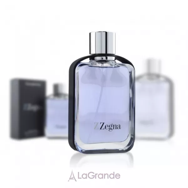 Ermenegildo Zegna Z Zegna ��������� ����