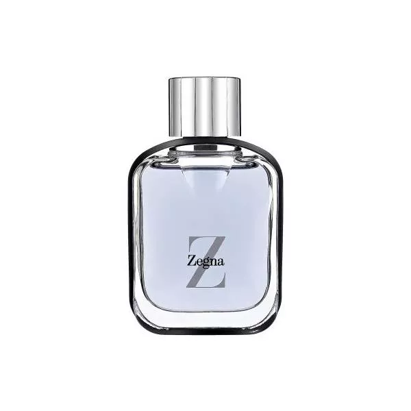 Ermenegildo Zegna Z Zegna �������� ���� (������)