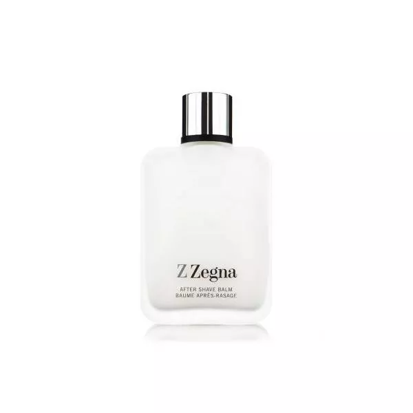 Ermenegildo Zegna Z Zegna �������� ���� (������)