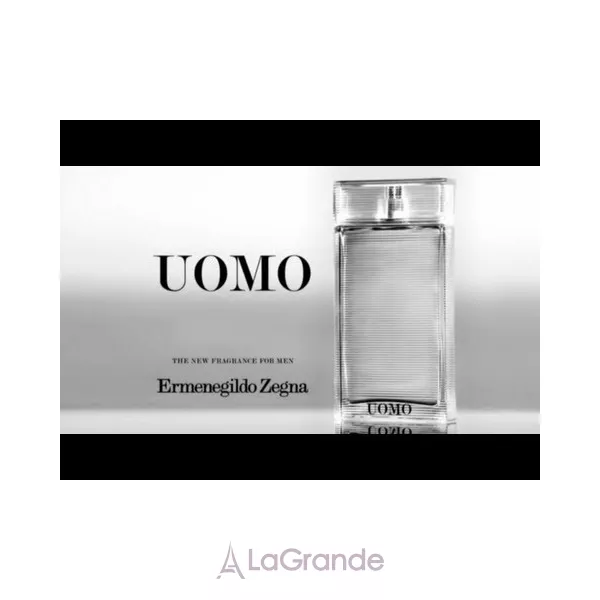 Ermenegildo Zegna Zegna Uomo ��������� ���� (������)