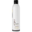 ProfiStyle "����������� � ��������� ������" 250ml