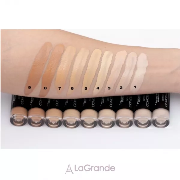 Pierre Rene Contour Concealer �������� ��� �������