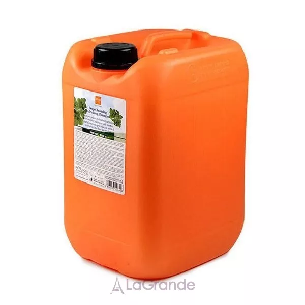 Alter Ego Classic Deep Cleansing Refreshing Shampoo ������� � �������� ��� ��������� ��������