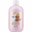 Inebrya Ice Cream Pro Age Shampoo Argan oil 300ml