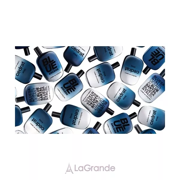 Comme des Garcons Blue Encens ����������� ����