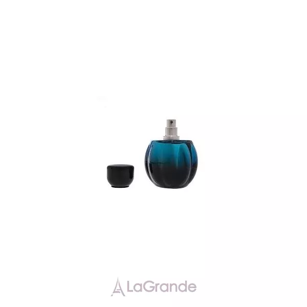 Fragrance World Passion de Night ��������������� ����