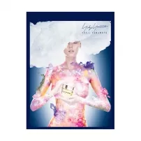 Yohji Yamamoto Pour Femme 2013 ����������