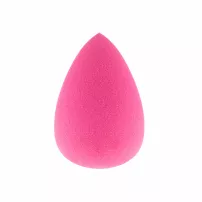 Pierre Rene Beauty Sponge ����� ��� �������