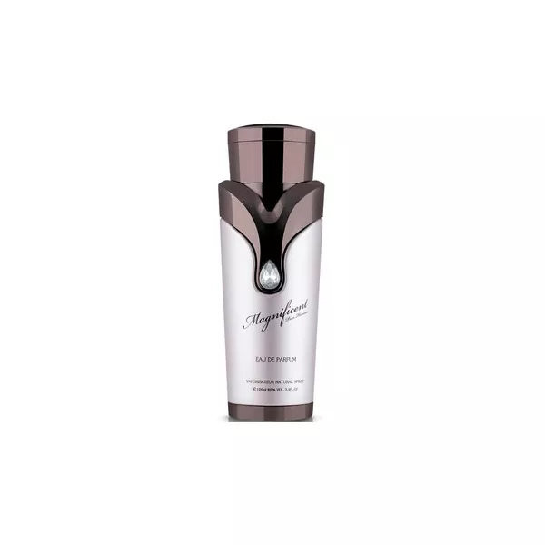 Armaf Magnificent Pour Homme ���������� �����