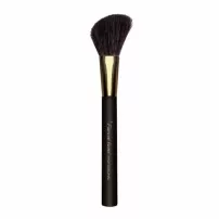 Pierre Rene 105 Angled Blush Brush ����� ��� �����