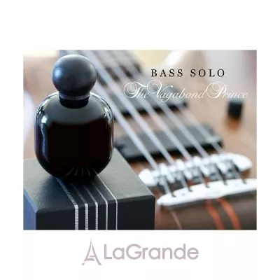 The Vagabond Prince Bass Solo   (  )