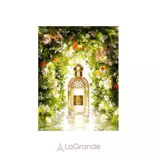Guerlain Aqua Allegoria Nerolia Bianca ��������� ���� (������)
