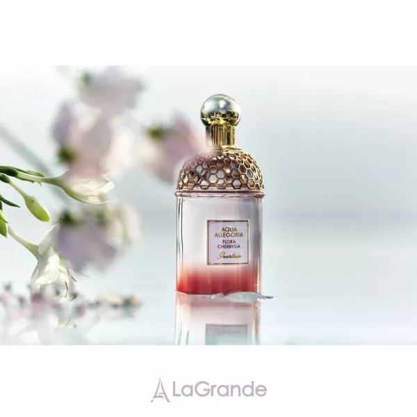 Guerlain Aqua Allegoria Flora Cherrysia ����� (��������� ���� 75 �� + ������ ��� ���� 75 �� + ����������)