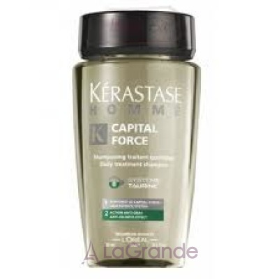 Kerastase Homme Daily Treatment Shampoo Anti-Olinass Effect  -     