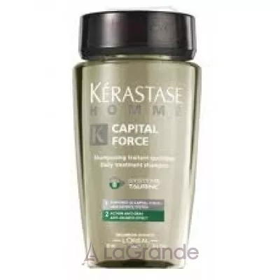 Kerastase Homme Daily Treatment Shampoo Anti-Olinass Effect  -     