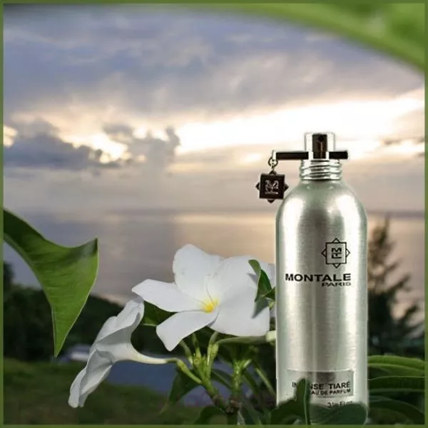 Montale Embruns d'Essaouira ��������������� ���� (������)