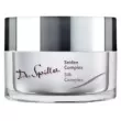 Dr. Spiller Silk Complex 50ml